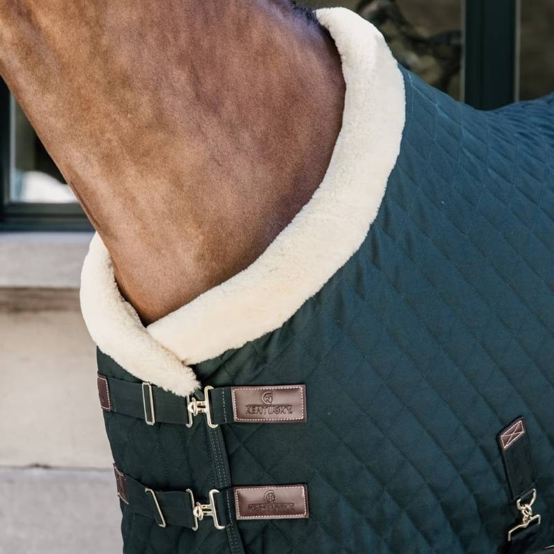 Stevnedekken/Stalldekken 160g Mørkegrønn