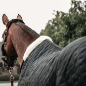 Stalldekken 400g Svart Stalldekken 400g Svart