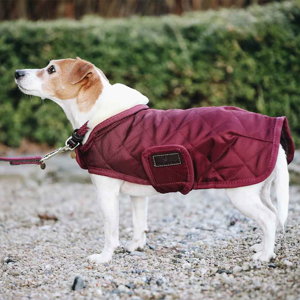 Hundedekken Original Bordeaux