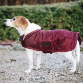 Hundedekken Original Bordeaux Hundedekken Original Bordeaux