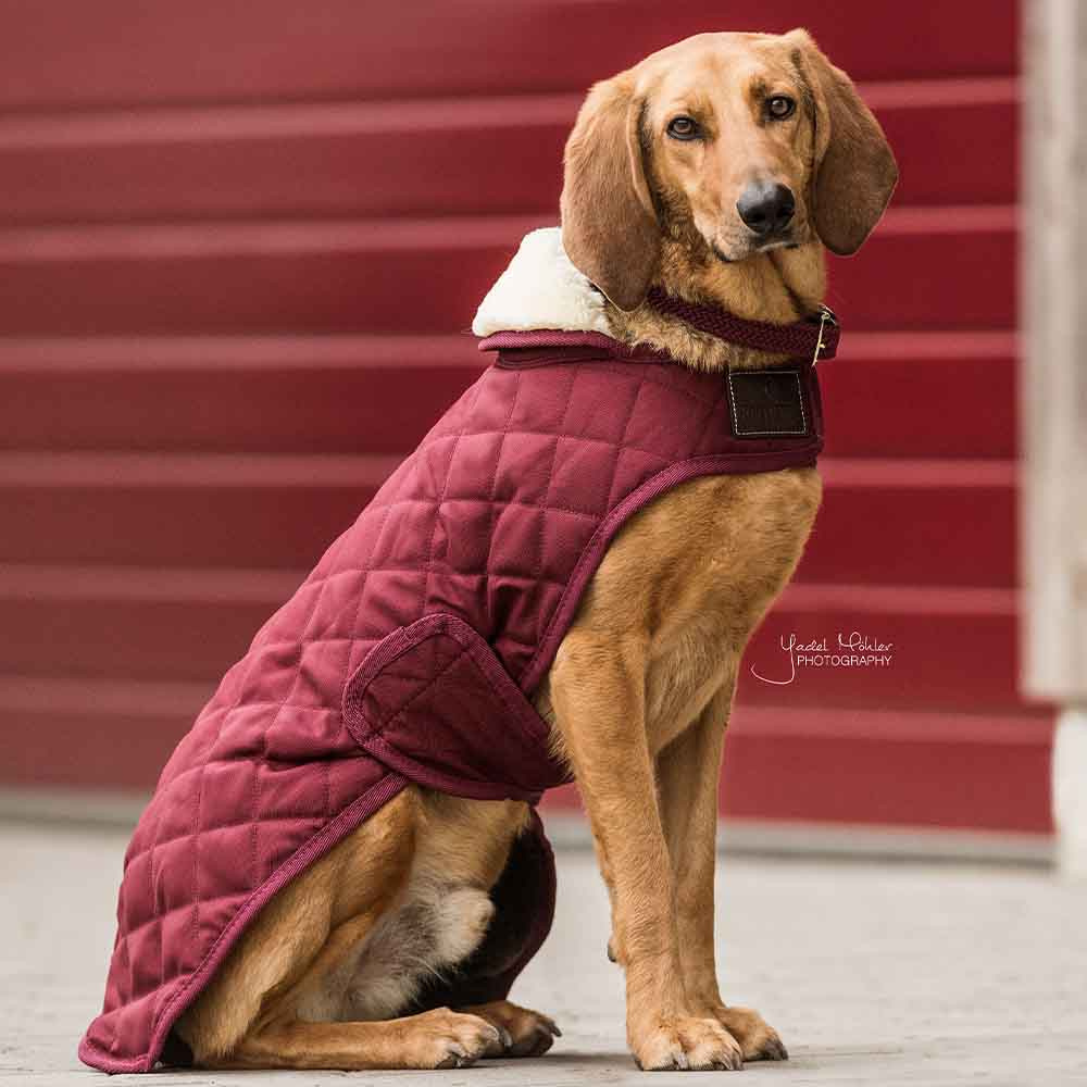 Hundedekken Original Bordeaux