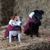 Hundedekken Original Bordeaux Hundedekken Original Bordeaux