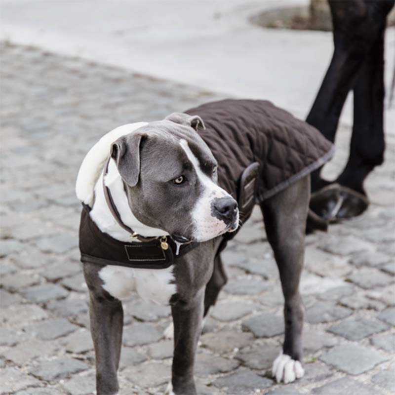 Hundedekken Original Brun