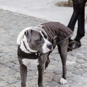 Hundedekken Original Brun Hundedekken Original Brun