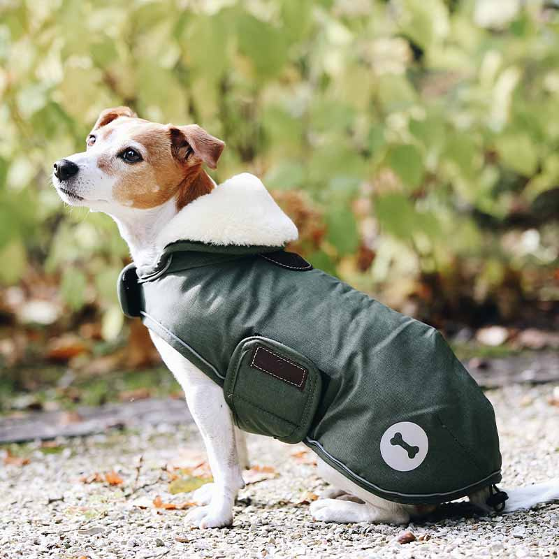 Hundedekken Waterproof 300g Olivgrønn