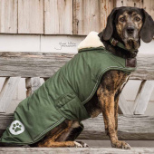 Hundedekken Waterproof 300g Olivgrønn Hundedekken Waterproof 300g Olivgrønn