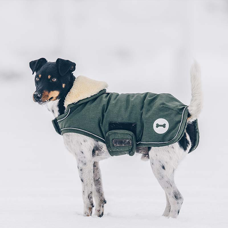 Hundedekken Waterproof 300g Olivgrønn