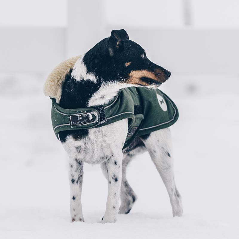 Hundedekken Waterproof 300g Olivgrønn
