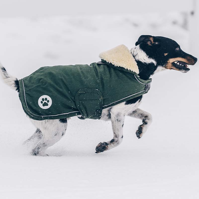 Hundedekken Waterproof 300g Olivgrønn