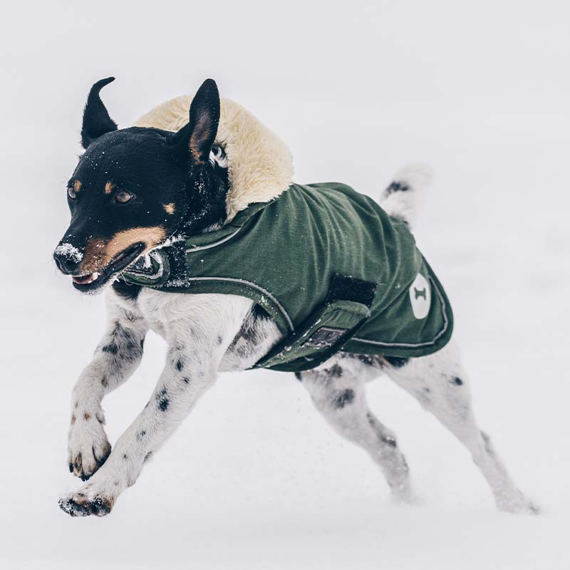 Hundedekken Waterproof 300g Olivgrønn