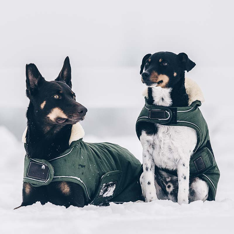 Hundedekken Waterproof 300g Olivgrønn