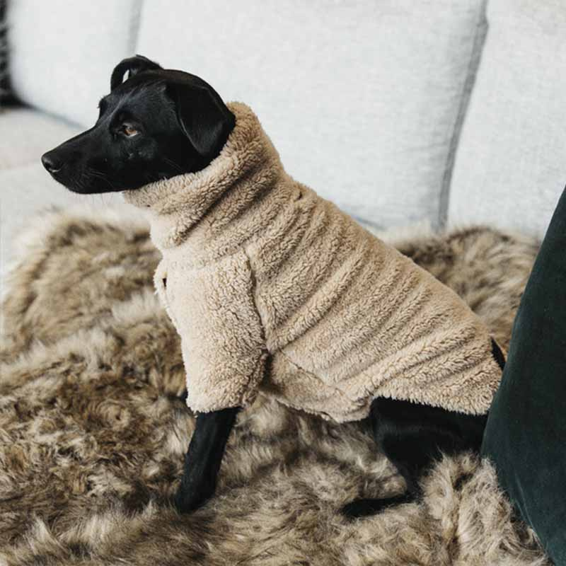 Hundegenser Teddy Fleece Beige