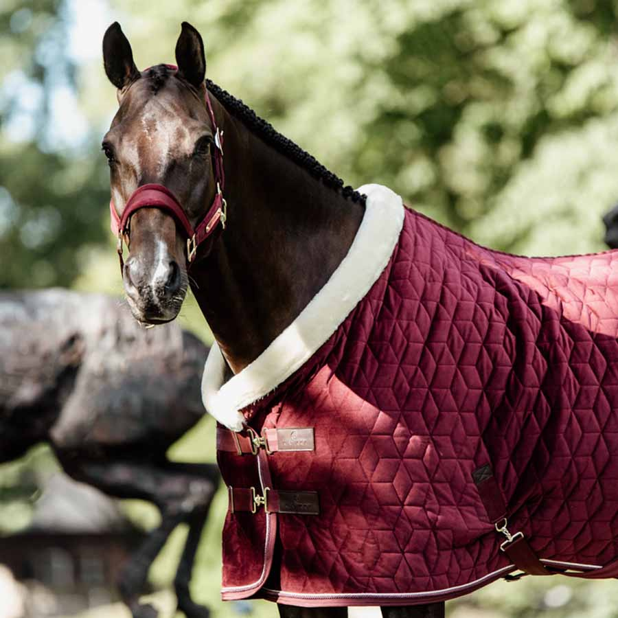 Stevnedekken Velvet Bordeaux