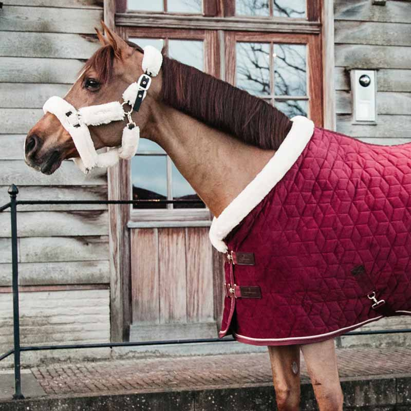 Stevnedekken Velvet Bordeaux