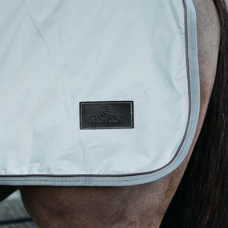 Skrittedekken Reflective Silver