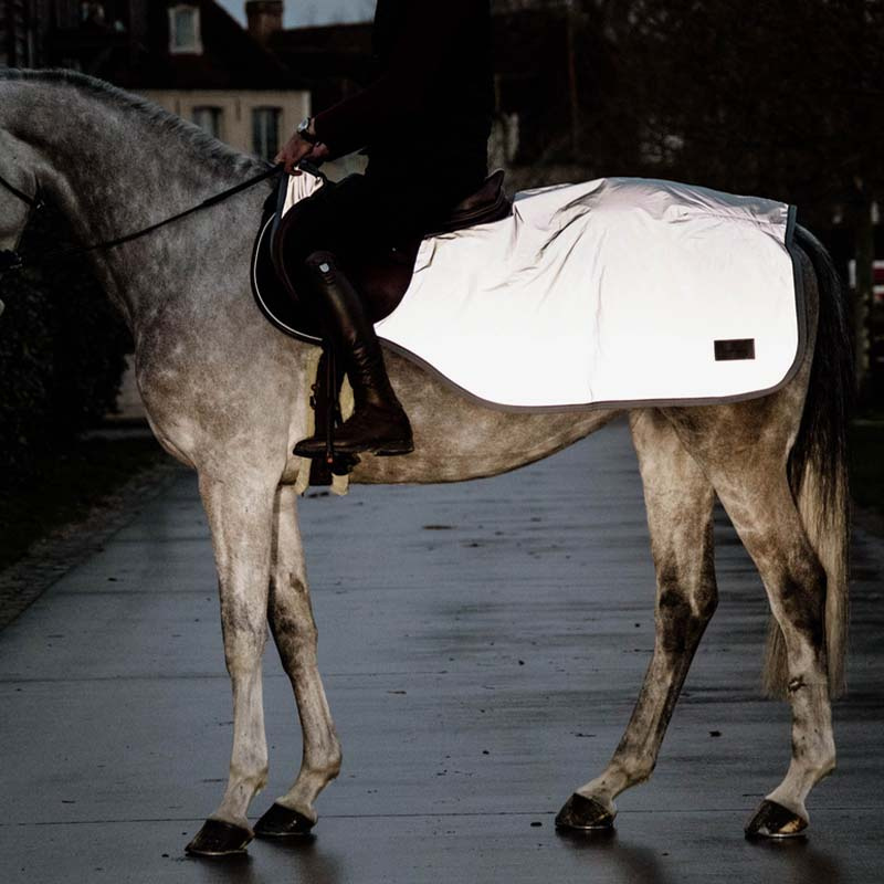 Skrittedekken Reflective Silver