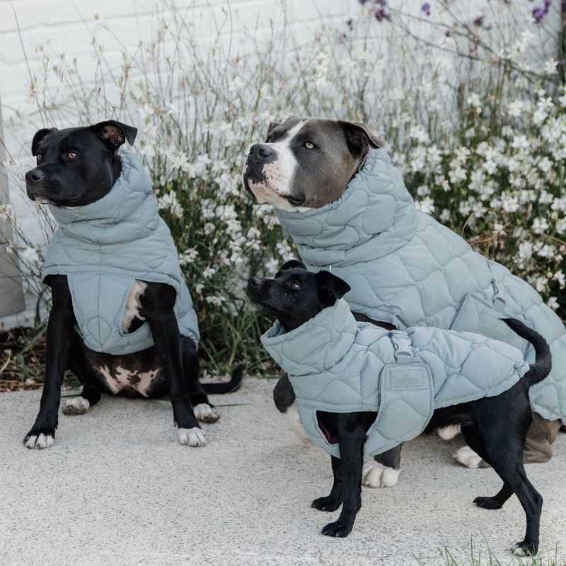 Hundedekken Winter Pina 160g Blå