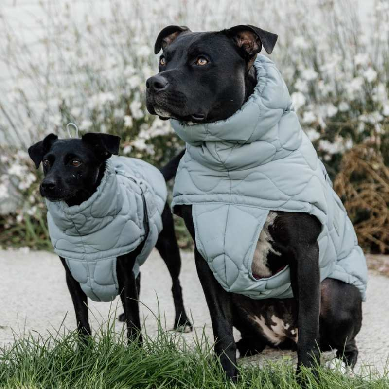 Hundedekken Winter Pina 160g Blå
