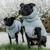 Hundedekken Winter Pina 160g Blå Hundedekken Winter Pina 160g Blå