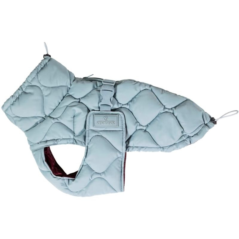 Hundedekken Winter Pina 160g Blå