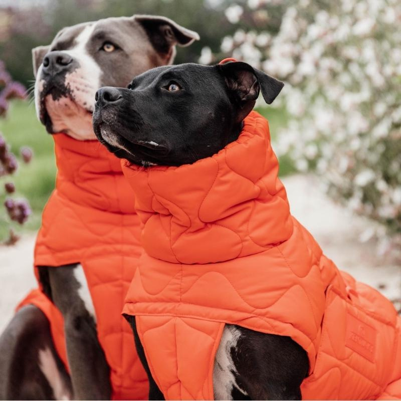 Hundedekken Winter Pina 160g Oransje
