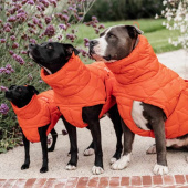 Hundedekken Winter Pina 160g Oransje Hundedekken Winter Pina 160g Oransje