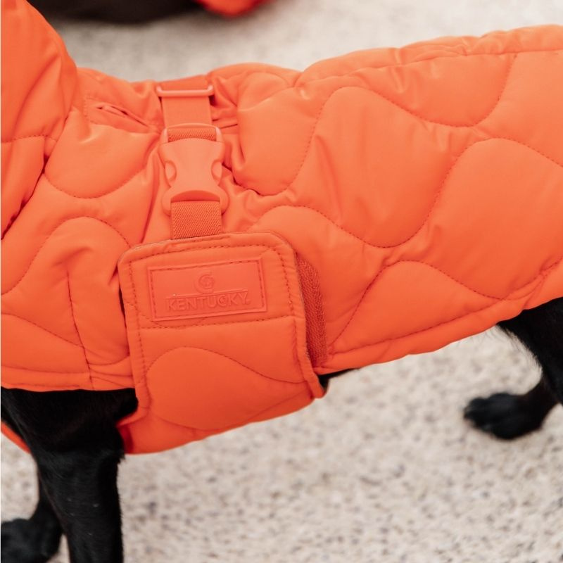 Hundedekken Winter Pina 160g Oransje