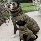 Hundedekken Winter Pina 160g Grønn Hundedekken Winter Pina 160g Grønn