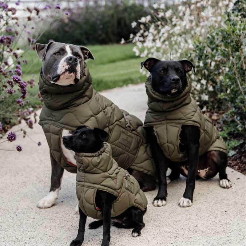 Hundedekken Winter Pina 160g Grønn