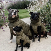 Hundedekken Winter Pina 160g Grønn Hundedekken Winter Pina 160g Grønn
