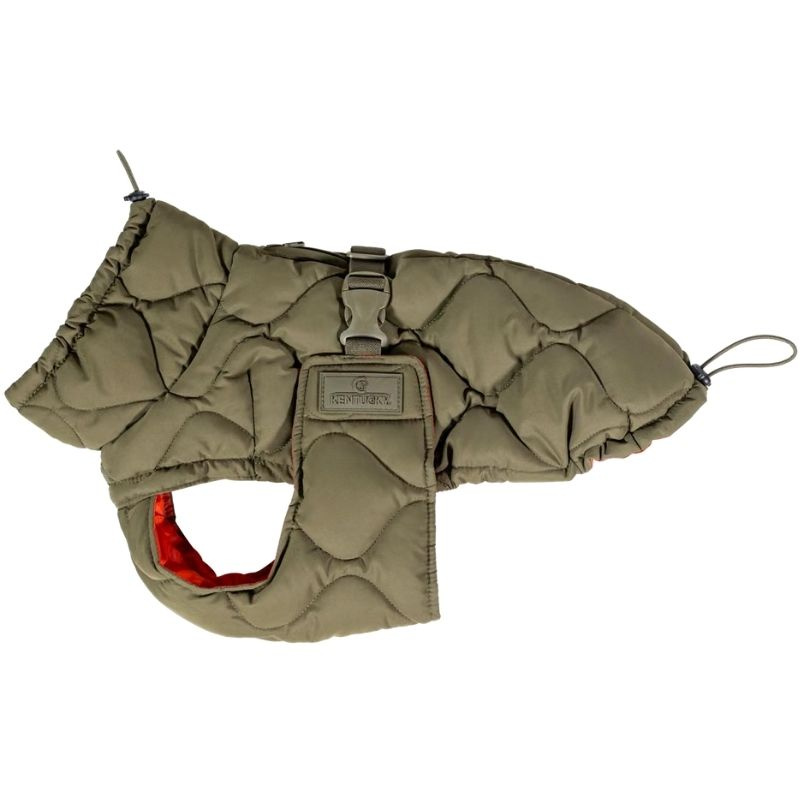 Hundedekken Winter Pina 160g Grønn