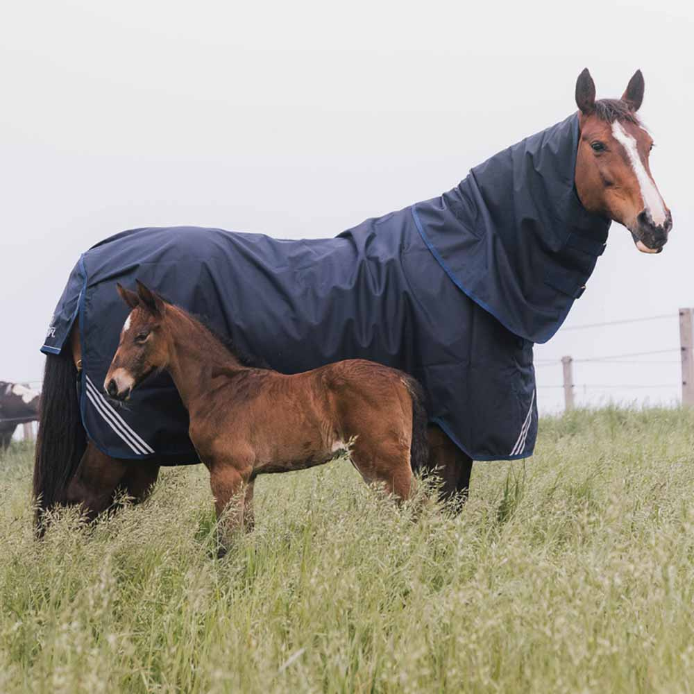 Utedekken All Weather Waterproof Comfort 200g Marineblå