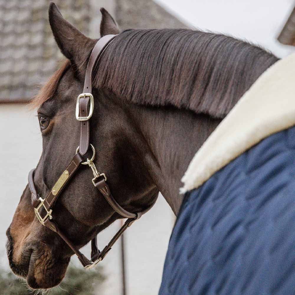 Stalldekken Comfort 200g Marineblå