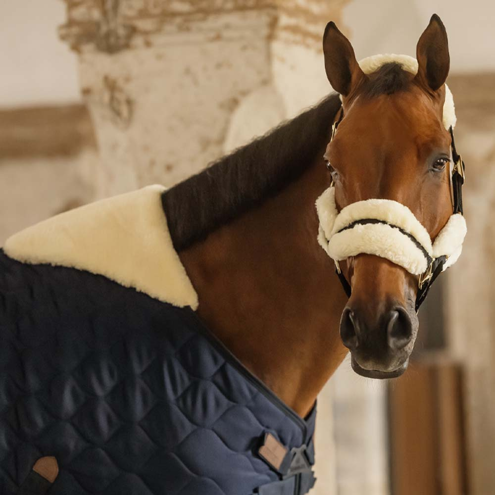 Stalldekken Comfort 300g Marineblå