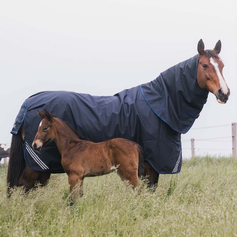 Hals All Weather Waterproof Comfort 0g Marineblå