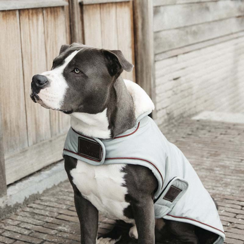 Hundedekken Waterproof 160g Blå