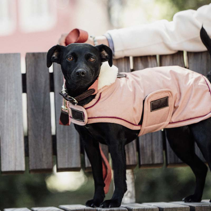 Hundedekken Waterproof 160g Koral