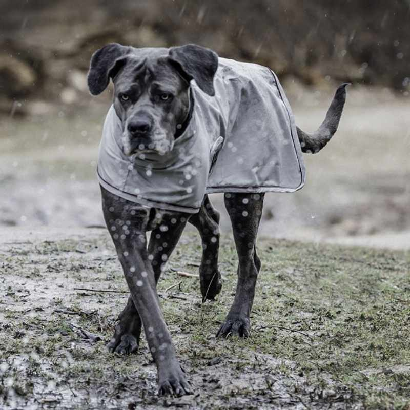 Regndekken Hund 0g Grå