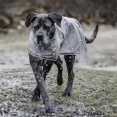 Regndekken Hund 0g Grå Regndekken Hund 0g Grå