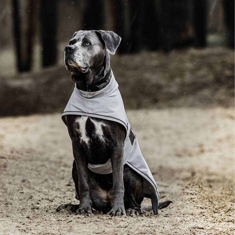 Regndekken Hund 0g Grå