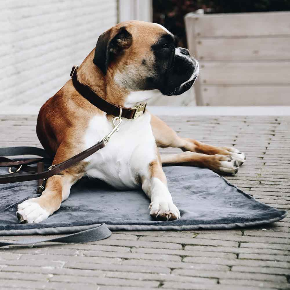 Hundeseng Travel In Style Grå