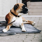 Hundeseng Travel In Style Grå Hundeseng Travel In Style Grå