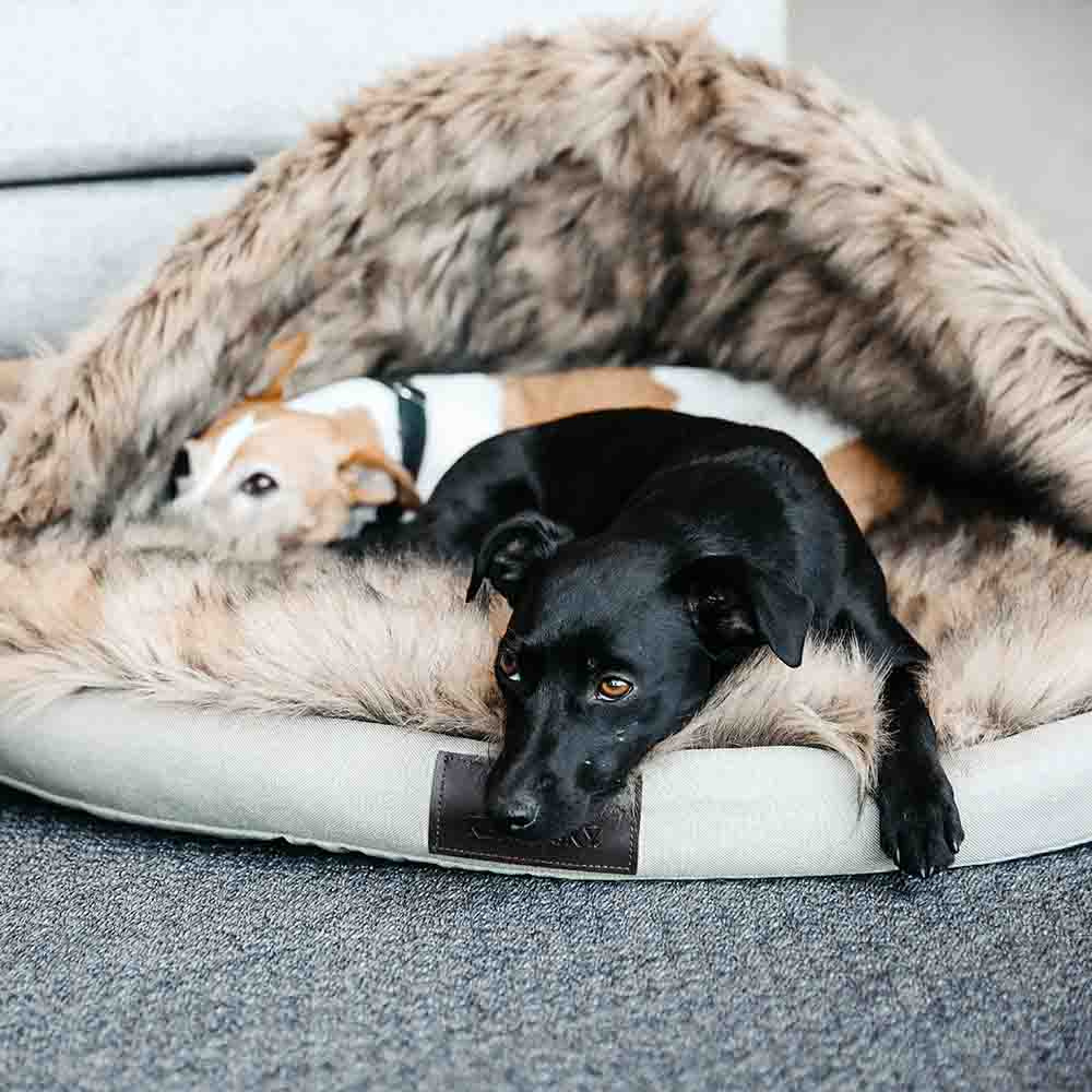 Hundeseng Igloo Beige