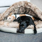 Hundeseng Igloo Beige Hundeseng Igloo Beige