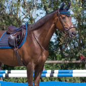 Ørehette Florence Marineblå Ørehette Florence Marineblå