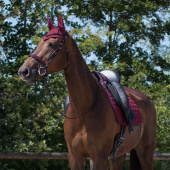 Ørehette Florence Vinrød Ørehette Florence Vinrød