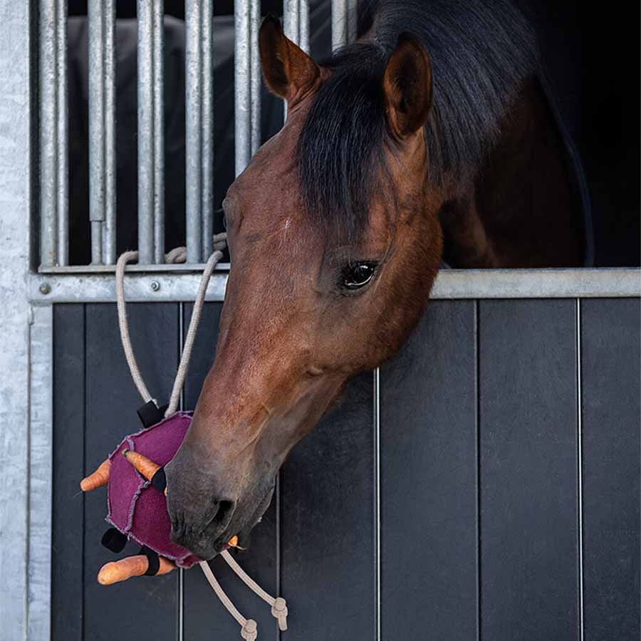 Hesteleke Ball Loop semsket skinn Rosa
