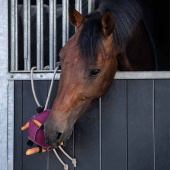 Hesteleke Ball Loop semsket skinn Rosa Hesteleke Ball Loop semsket skinn Rosa