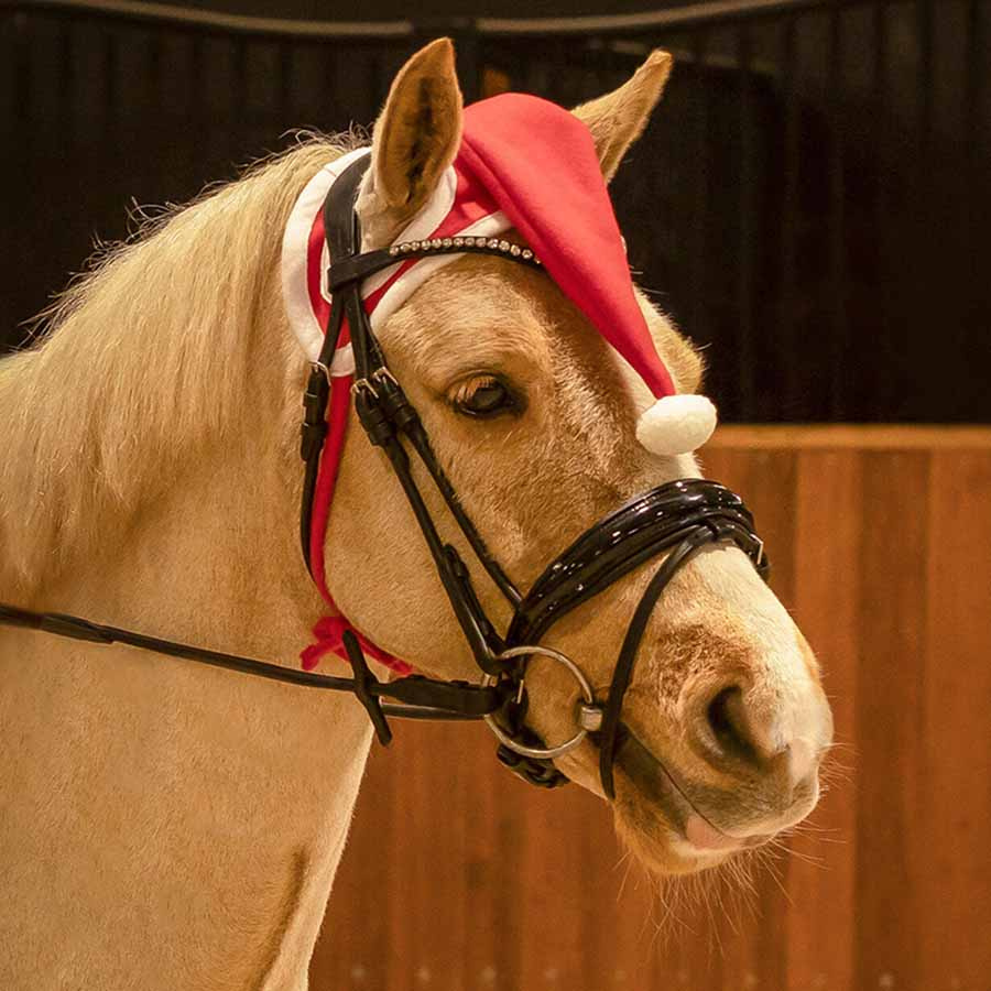 Ørehette Christmas Hat Rød/Hvit