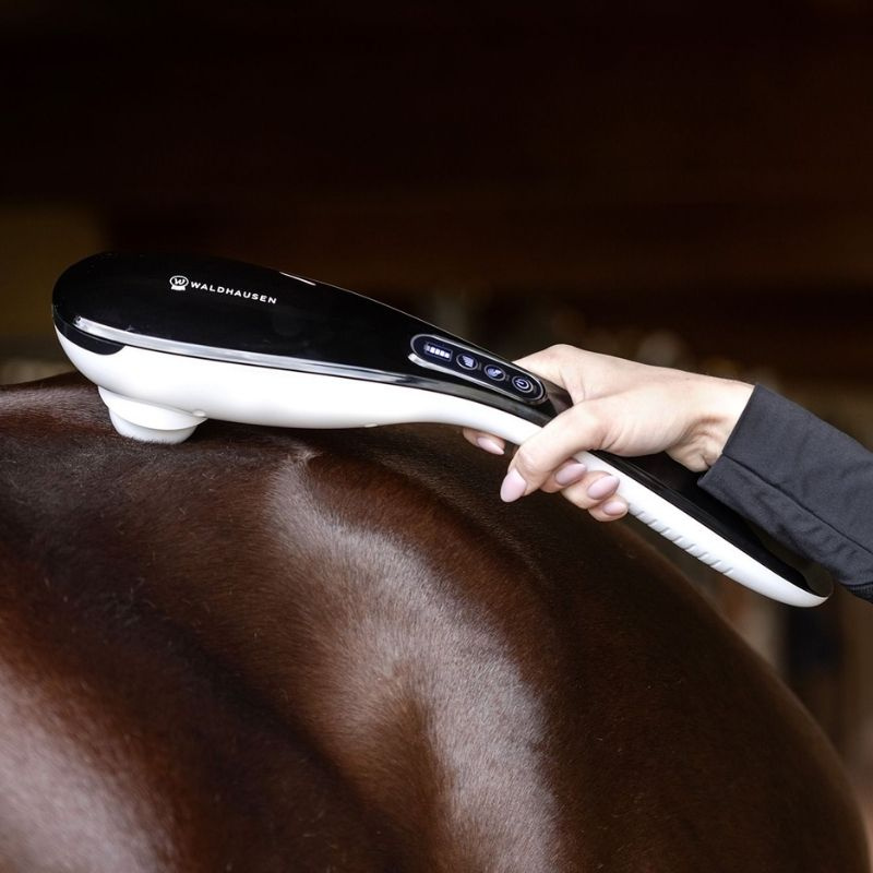 Massasjeapparat GO-Anywhere Svart/Hvit